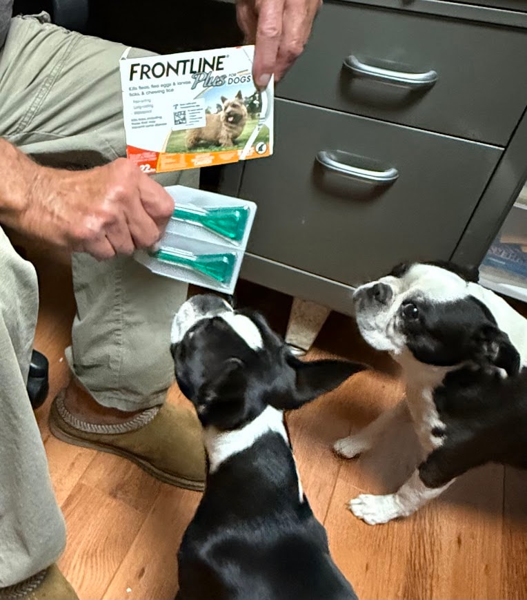 FRONTLINE Plus Flea & Tick (Small Dogs)